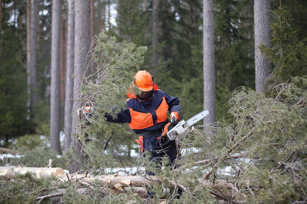Mela poimii kampanjansa kohteiksi myel-vakuuttamattomia metsänomistajia verotietojen perusteella.