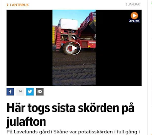 Jan Knutsson jatkoi perunannostoa jouluun asti, kun syksy oli niin märkä.