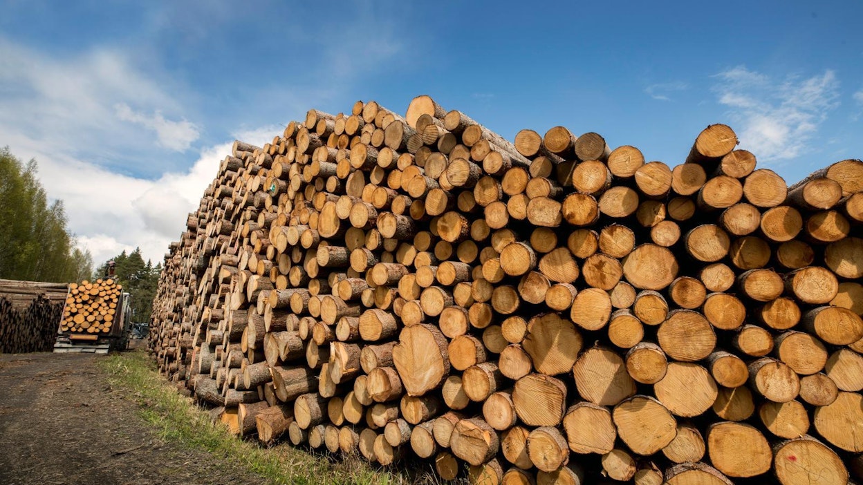Suomen metsissä kasvaa uutta runkopuuta noin 110 miljoonaa kuutiometriä vuodessa, joten puuston kasvu ylitti hakkuut ja luontaisen poistuman myös viime vuonna lähes 25 miljoonaa kuutiometriä.