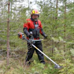 Husqvarna on tuonut markkinoille uuden akkumallisen yleisraivaussahan. 535iFR on suunniteltu pienirunkoisten taimikoiden hoitotöihin ja heinänniittotehtäviin. Koneviesti ottaa kesän aikana selvää, miten saha eri tilanteista selviää.