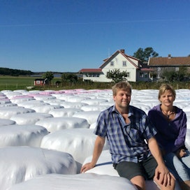 Katarina ja Hans Johansson korjaavat 120-päiselle luomukarjalleen 1200 paalia rehua ja eläimet saavat laiduntaa vapaasti merenrannalla. Vaaleanpunainen paalikääre tukee Roosa nauha -rintasyöpäkampanjaa.