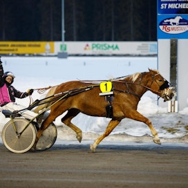 Ayse Könec sai tuulettaa ensimmäistä totoravilähdön voittoaan Jockas Carmenin rattailla 25. maaliskuuta Mikkelissä.