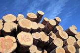 Suomussalmelaisen Sumetku Oy ei ole pystynyt tilittämään kaikkia metsänomistajien puukaupparahoja ajallaan.