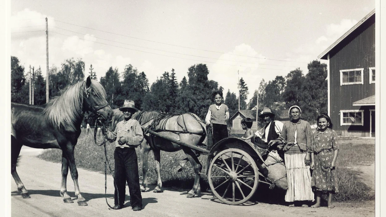 Romaneja evakossa Muhoksella heinäkuussa 1945. Suomalaisen Kirjallisuuden Seuran arkiston mukaan kuva on otettu Antti nuoremman vieraillessa Muhoksella isänsä Antti vanhemman hautajaisissa.