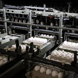 Kananmunia on tuotettu tammi–syyskuussa vajaa 58 miljoonaa kiloa.