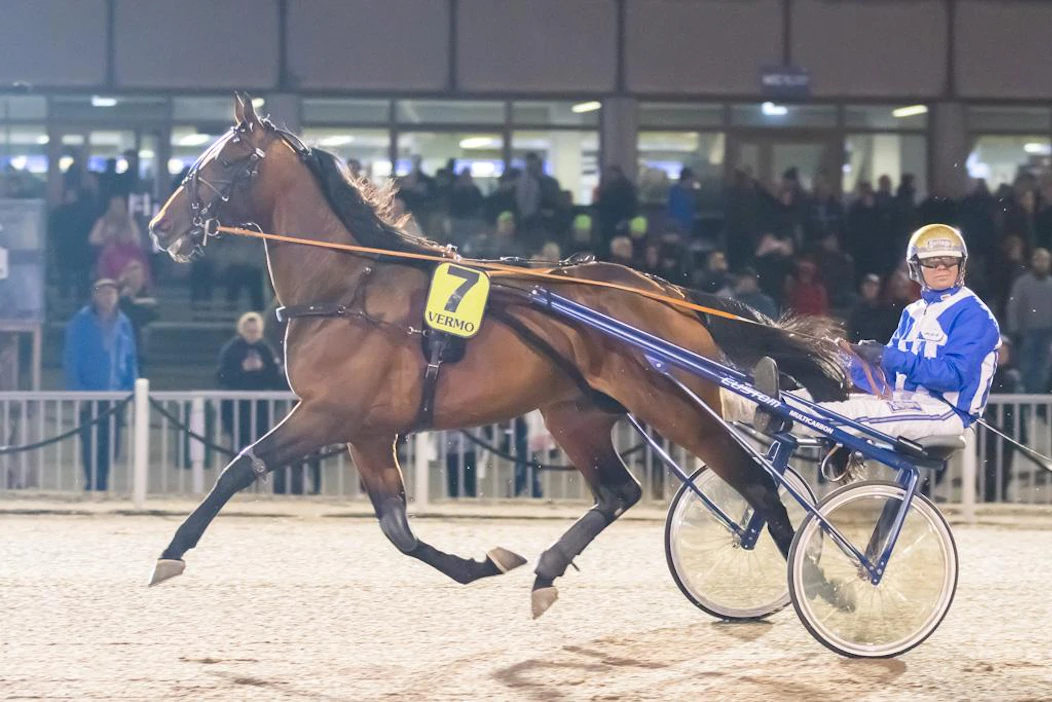 Ecurie D. kävi voittamassa Vermon EM-raveissa vuonna 2019 kolmevuotiaiden lämminveristen Euroopan mestaruuden.
