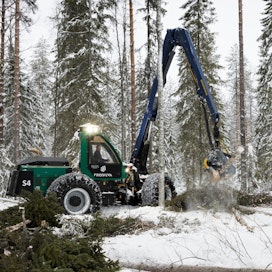 MTK:n mukaan venäläisen puun tilalle löytyy Suomesta hyvin korvaavaa puuta. Metsänomistajan kannattaa seurata markkinatilannetta ja kilpailuttaa maltilla kohteensa.