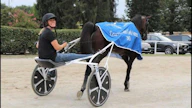 Anu Intonen ja Cokstile suuntaavat hymyssä suin kohti pyhän Prix d'Ameriqueta. Kuva on Gran Premio Costa Azzurran voiton yhteydestä syksyltä 2020 Torinosta.
