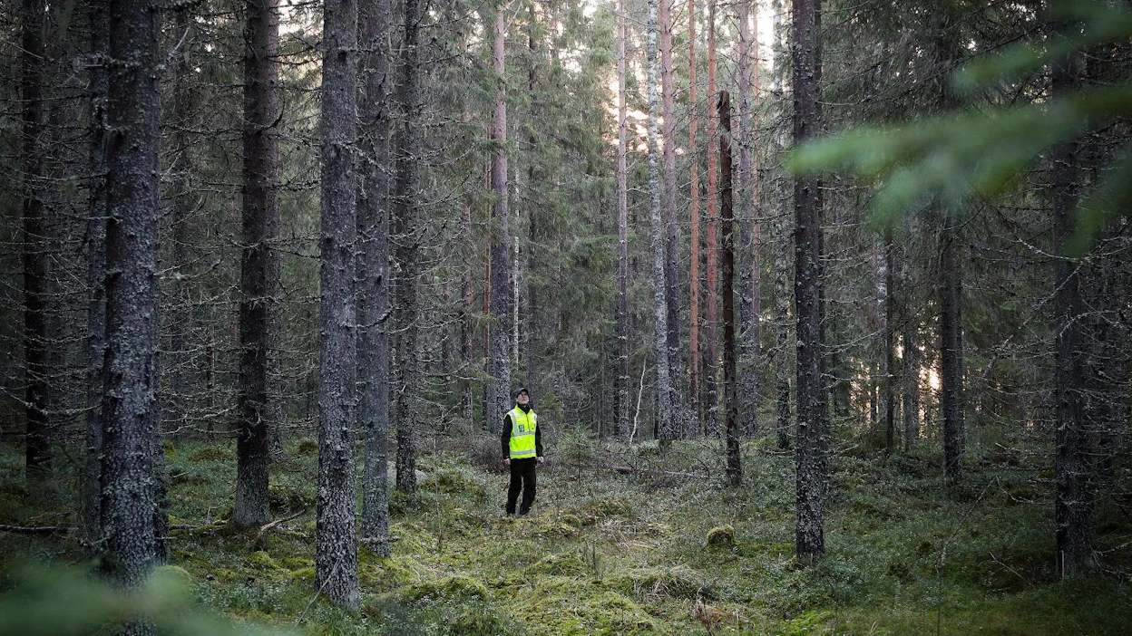 Juho Laitinen kulkee keuruulaisella metsätilalla, joka kuuluu Dasos Habitat Fundin rahastoon ja Metsä Groupin sopimusasiakkailleen tarjoamaan FSC Luontokohdepalveluun.