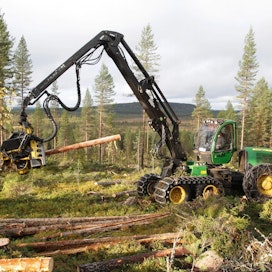 Lain mukaan metsänomistajan on jätettävä Metsäkeskukselle metsänkäyttöilmoitus aiotuista hakkuista viimeistään kymmenen päivää ennen hakkuiden aloittamista.