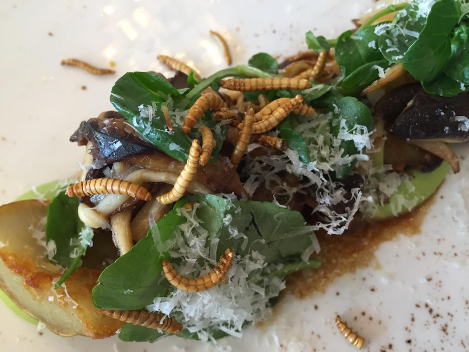 Tässä annoksessa on käytetty jauhomatoja.