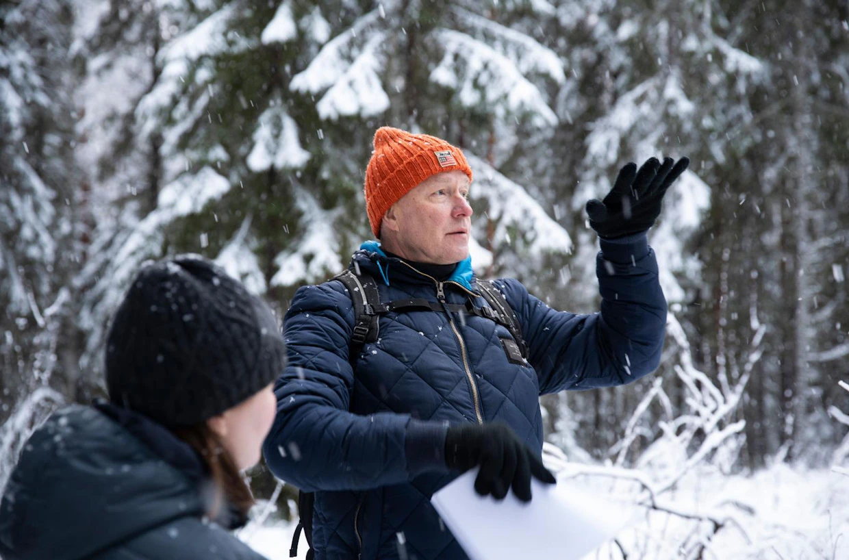 Sauli Valkonen suosittelee pienaukkoja tilanteisiin, joissa tasaikäistä metsää halutaan ohjata kohti eri-ikäisrakenteisuutta.