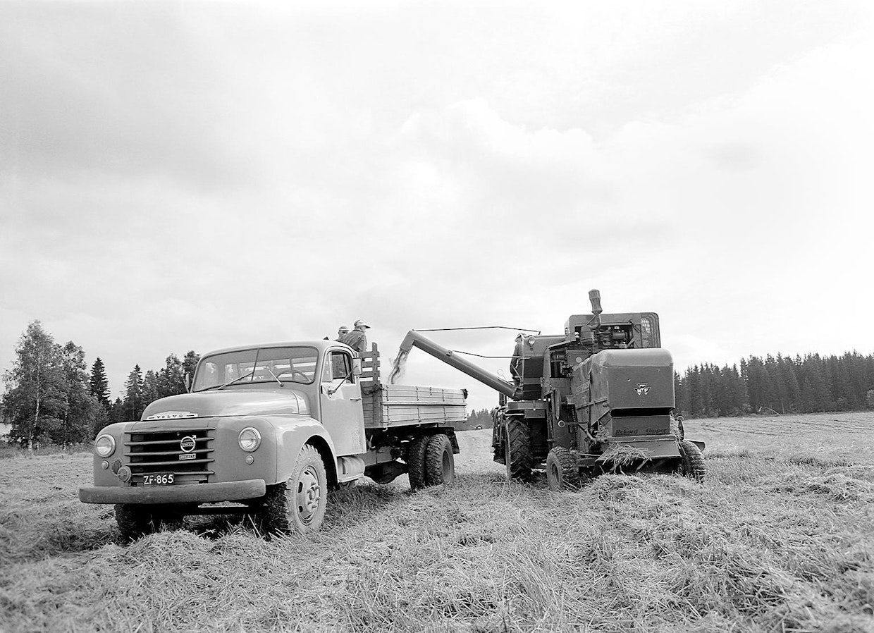 Vehnää puidaan Hämeenkylässä Helsingin maalaiskunnassa (nykyisin Vantaa) 4.9.1958. Viljapellolla Volvo-kuorma-auto ja Massery-Ferguson-leikkuupuimuri. Kuvaaja Erkki Voutilainen.