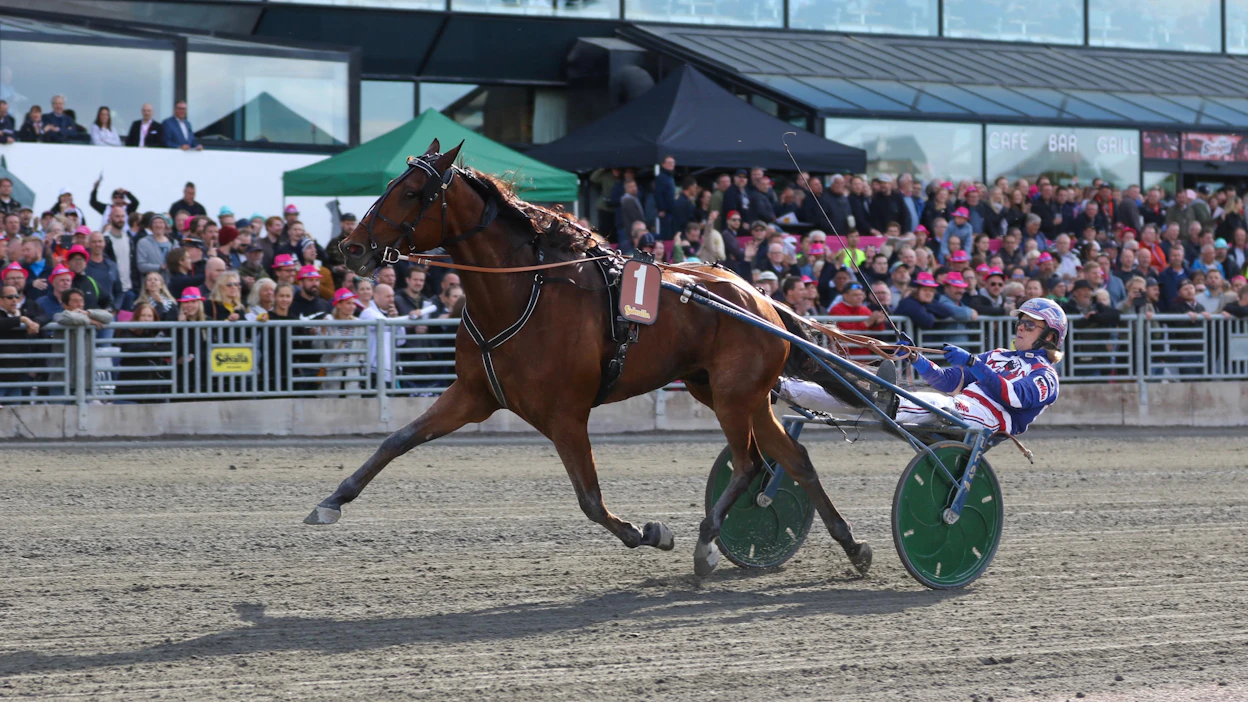 Suomalaisvoitot Harper Hanoverin lähdössä ovat olleet harvinaista herkkua suomalaisille. Edellisen toi Jorma Kontion ajama Mellby Viking 2014 – sekin Timo Nurmoksen tallista.