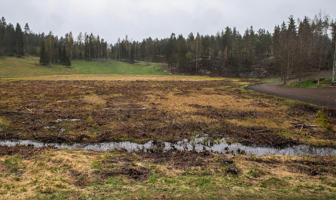 Hoitamattoman näköiseksi muuttuva pelto voi herättää närää naapureissa. Ilmastotoimille tarvitaankin brändäystä, sanoo Luken tutkimusprofessori.