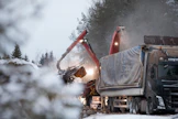 Metsien hoitorästien kunnostukseen on ministeri Jari Lepän (kesk.) mukaan tarjolla kelpo kannusteet. Kontioforest Oy haketti metsähaketta Pyhäjoella torstaina.