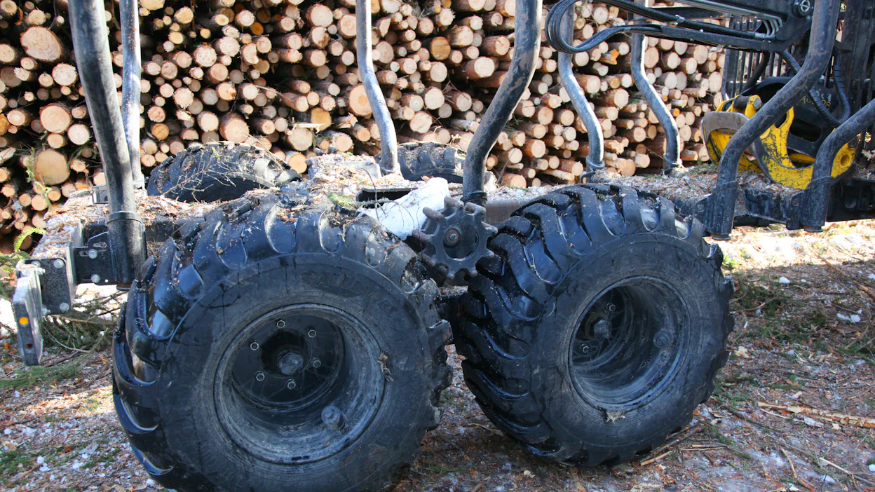 Metsävakuutuksen laajuudesta riippuu, korvaako vakuutus varastetun puutavaran arvon.