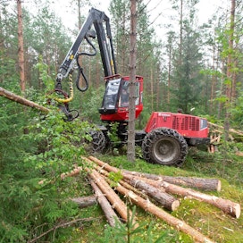 Koko alkuvuonna Metsäteollisuus ry:n jäsenyritykset ovat ostaneet yksityismetsistä puuta 23,2 miljoonaa kuutiometriä, mikä on vain vajaan prosentin vähemmän kuin vuonna 2018 tähän aikaan.