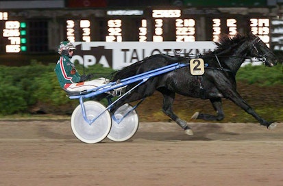 Näin helposti Black Dunbnock hallitsi keulasta viime keskiviikkona.