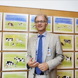 Pekka Laaksonen esittelee mielellään 42-päistä lypsykarjaa työhuoneensa seinällä. Piirrokset ovat helsinkiläisen ala-asteen oppilaiden käsialaa. marita waenerberg