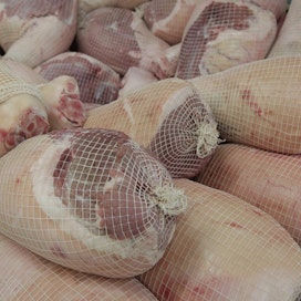 MTK:n sikaverkosto ennakoi, että vuoden kuluttua podetaan kinkkupulaa, elleivät tuottajat saa sianlihasta parempaa hintaa.