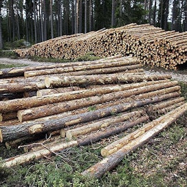 Puun kysynnässä on nyt selvää alueellista vaihtelua. Pohjois-Suomessa kesän laajat myrskytuhot jarruttavat puukauppoja ja painavat kantohintoja. Etelässä kaupaksi käy kuusitukki, mutta myös harvennusleimikoille ja kuitupuulle on kysyntää.