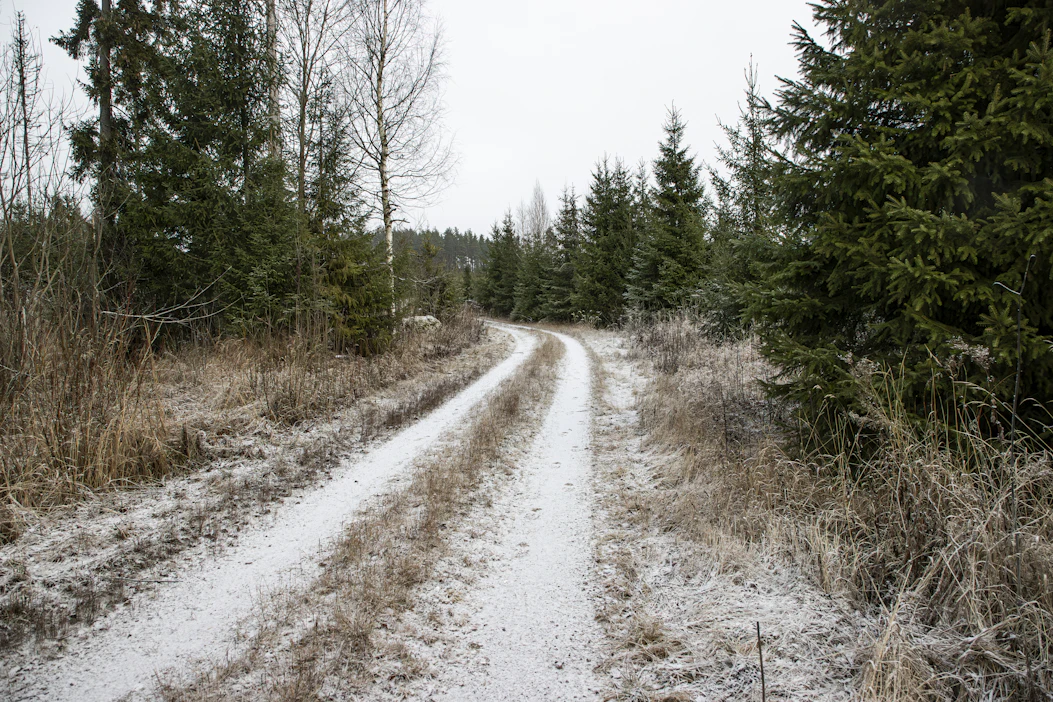 Metsäteiden perusparannuksiin on korkean tukitason ansiosta ryhdytty monissa tiekunnissa.