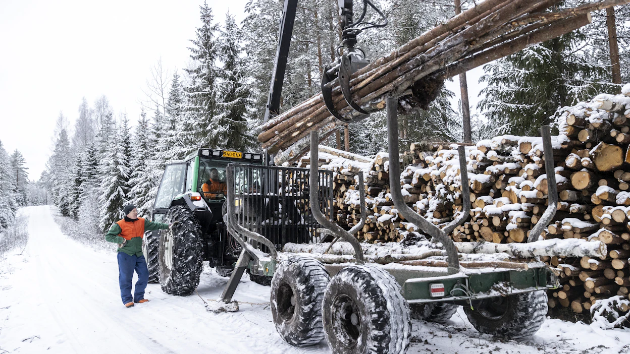 Metsätiloilla sukupolvenvaihdosten suunnittelua lykätään usein, koska selkeitä kannustimia omistusjärjestelyihin ei ole.