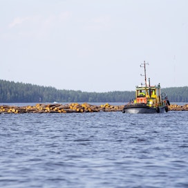 Itä-Suomessa teollisia mahdollisuuksia on metsäteollisuudessa ja muissa uusiutuvissa luonnonvaroissa, kuten biotalouden ja sinisen biotalouden kasvussa, lääketieteellisten tuotteiden ja akkukemikaalien jalostuksen puitteissa.