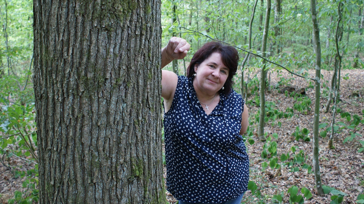 Angelika Morgenrothin 12 hehtaarin metsätilan jalokiviä ovat järeät tammet.