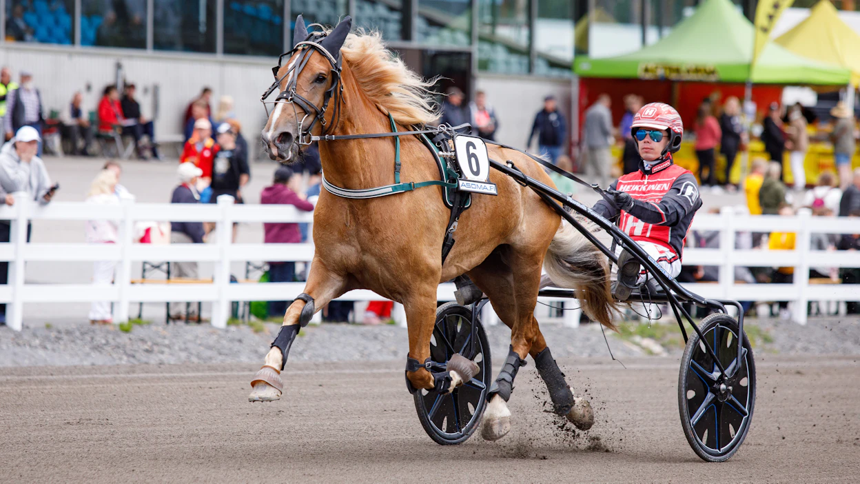 Sarikanin ravurin ura käsittää 48 starttia totosijoin 7-12-4. Rahaa tamma on tienannut karvan verran alle 100 000 euroa.