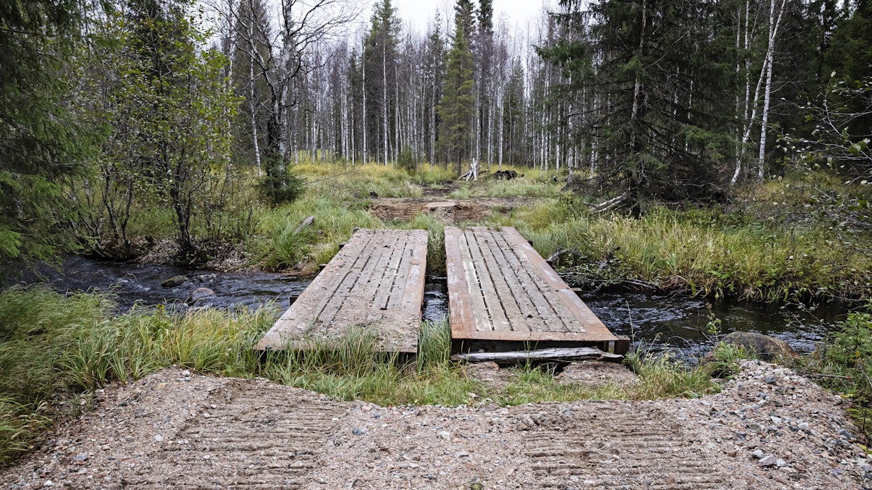 Puro voidaan ylittää metsään tuotua väliaikaista siltaa pitkin.