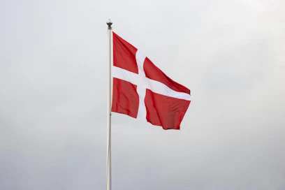 Tanskastakin myydään aika-ajoin Suomeen ravihevosia. Yksi tällainen, viikonloppuna saapunut Elliot, aiheutti kohua kesällä.
