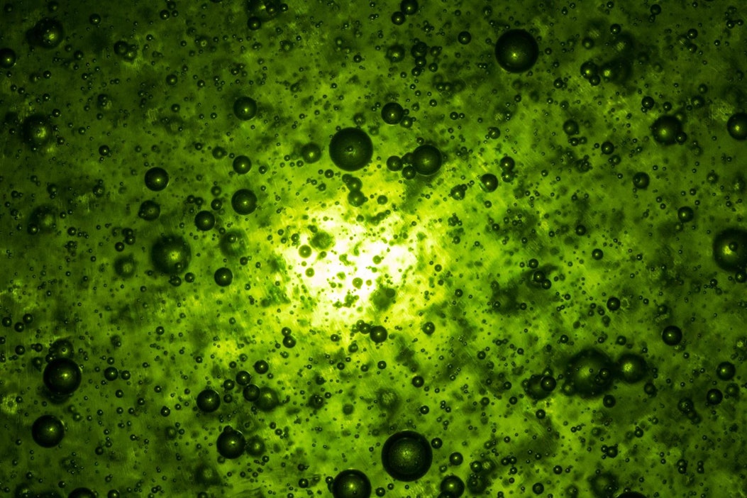 Veden väri muistutti astianpesuainetta kirkkaan vihreällä sävyllään.