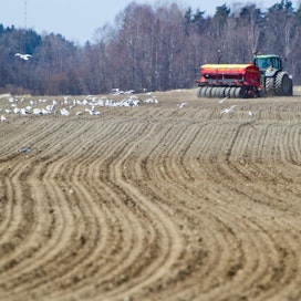 71 prosenttia MT:n kyselyyn vastanneista on päättänyt vähentää kevään kylvöillä lannoitteiden käyttöä totutusta.