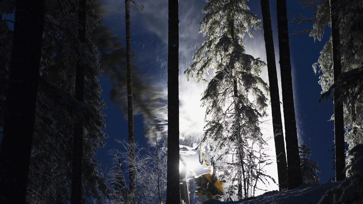 Luonnonsuojeluliiton puheenjohtaja Harri Hölttä vaatii valtiota luopumaan avohakkuista. Hän ei kuitenkaan usko, että avohakkuukielto voisi koskea kaikkea metsätaloutta, yksityismaat mukaan lukien.