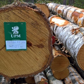UPM arvioi edelleen, että puun reaalihinnat laskevat Suomessa pitkällä aikavälillä. Laskun arvioidaan olevan kuitenkin aiemmin ennustettua hitaampaa.