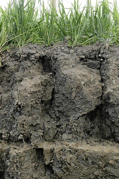 Sateinen kesä on rasittanut peltomaiden rakennetta.