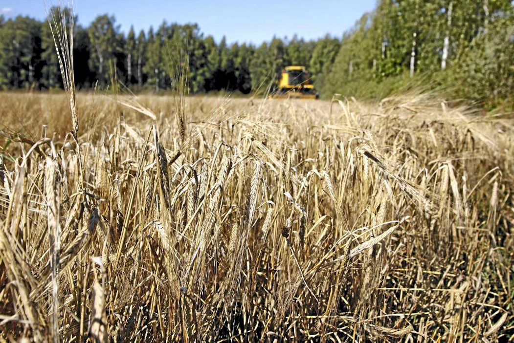 Sekä viime että tänä vuonna 28 prosenttia tiloista päätyi tai päätyy negatiiviseen kannattavuuskertoimeen. Näissä yrityksissä yrittäjätuloa ei jää lainkaan.