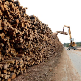 Kaidi suunnittelee Kemiin merkittävästi puunkäyttöä lisäävää biopolttoainetehdasta.
