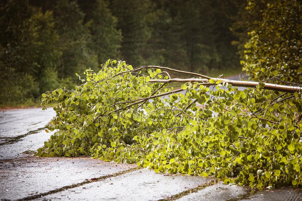 Erityisesti idässä ja kaakossa kannattaa varautua jopa yli 20 metriä sekunnissa puhaltaviin puuskiin.