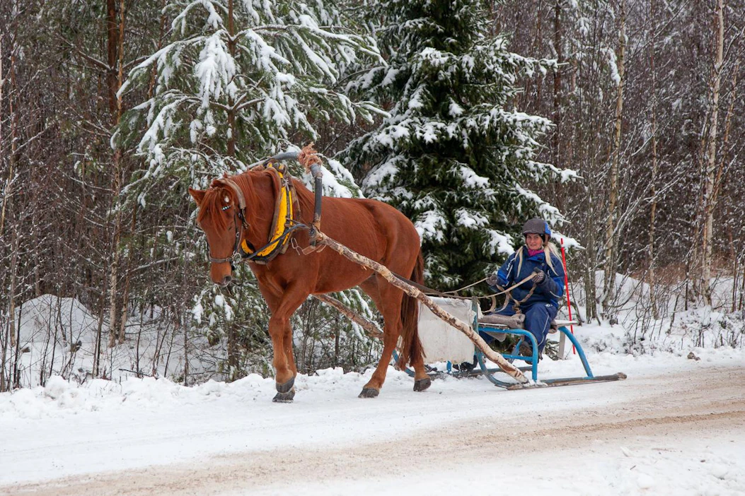 Taija Mäki-Mustapään Tuurin Elli on ennätyksellään 1.27,7ke ikäluokkansa tammakärkeä. Ennätys oikeuttaa jaettuun toiseen sijaan volttilähtöjen tilastossa.