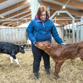 Johanna Heinonen tekee mielellään kirjaukset, jotka parantavat maidon laatua tai eläinten hyvinvointia, mutta kirjaamista pelkän kirjaamisen vuoksi hän ei hyväksy.