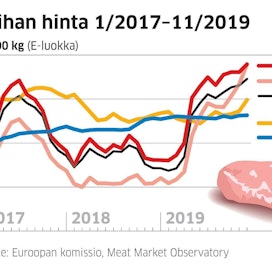 Vuoden 2018 lopulla tuotannon väheneminen nosti Suomessa sianlihan hintaa. Viennin kasvu ei ole tuonut samanlaista vaikutusta tänä vuonna.