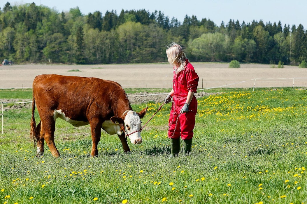 Onko Suomenkin maatalouden tulevaisuus naisissa?