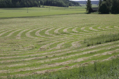 Suomessa valtaosa ekologisesta alasta on viherkesantoa.
