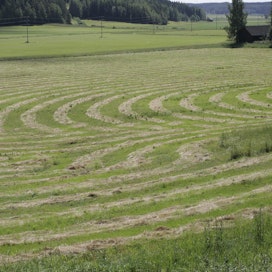 Suomessa valtaosa ekologisesta alasta on viherkesantoa.