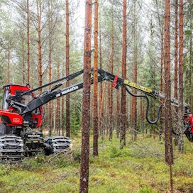 Järeysrunkohinta otetaan käyttöön kesäkuussa Metsä Groupin Lohjan, Oulun, Jyväskylän ja Joensuun hankintapiireillä. Se laajenee koko maahan vuoden loppuun mennessä.