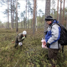 Johanna Ruusunen ja Marja Hokkanen esittelevät isovarpuista rämettä, joka on palautettu luonnontilaan. Markku Vuorikari