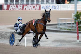 Veikko Haapakangas lämmittämässä Stall Dencon lupaavimpiin kuuluvaa Chanel Trioa Elitloppet-perjantaina 2023.